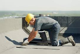 Best Roof Moss and Algae Removal  in Chenoa, IL